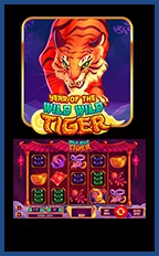 Year Of The Wild Wild Tiger
